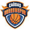 https://img.csdsxfgc.com/img/basketball/team/8b1e25c5d2bd93d0accfbaba14185f05.png