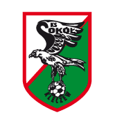 https://img.csdsxfgc.com/img/football/team/e6a8908dd206e2ea02d9803c82c60bba.png